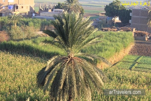 رحلة المنطاد في سماء الأقصر ..... رحلتنا النيلية بين أسوان ...