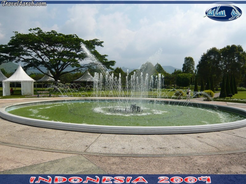                                     Taman  Bunga  