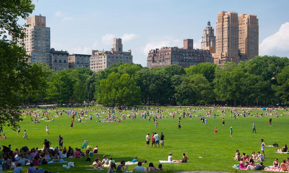 الحديقة المركزية في نيويورك Central Park
