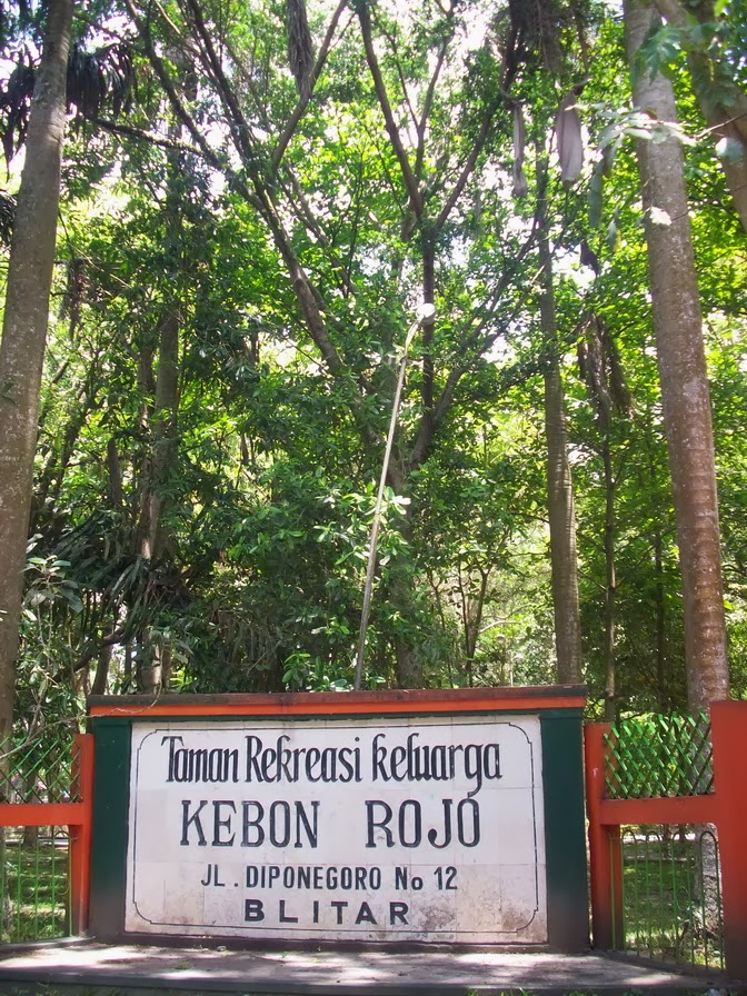 كيبون روجو (حديقة الملك)