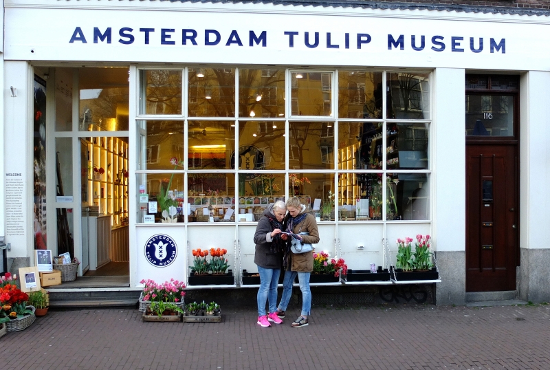 متحف أمستردام توليب