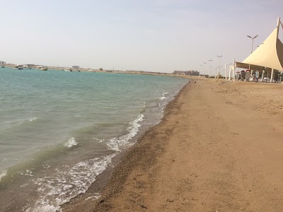 جزيرة المحار