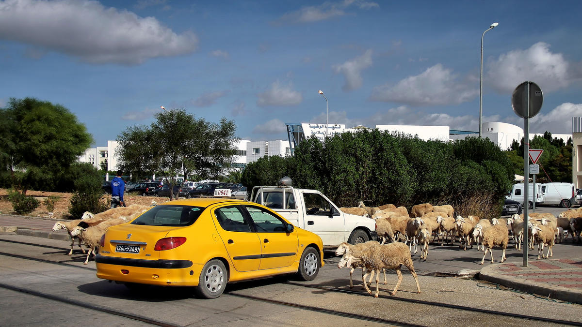 وسائل النقل في تونس