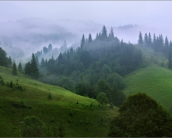  carpathian mountains 