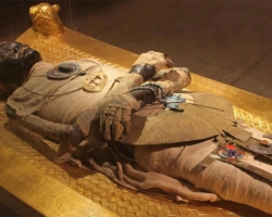  قاعة المومياوات بالمتحف المصرى 
