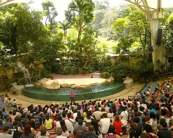  حديقة الحيوان فى سنغافورة 