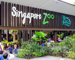  حديقة الحيوان فى سنغافورة 