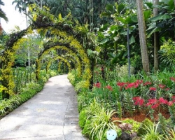  حديقة سنغافورة النباتية 