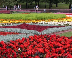  حدائق ألكساندروفسكى فى موسكو 