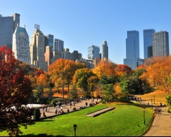  الحديقة المركزية في نيويورك Central Park 