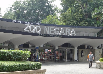 حديقة حيوان نيغارا