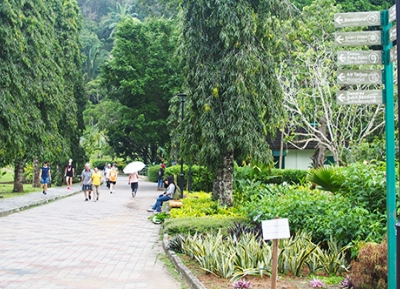 حدائق بينانغ النباتية