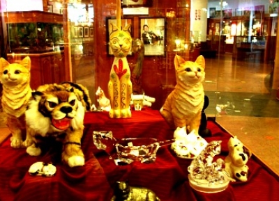  متحف القط 