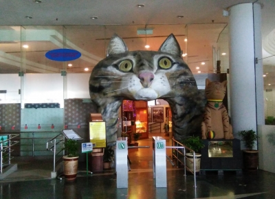  متحف القط 