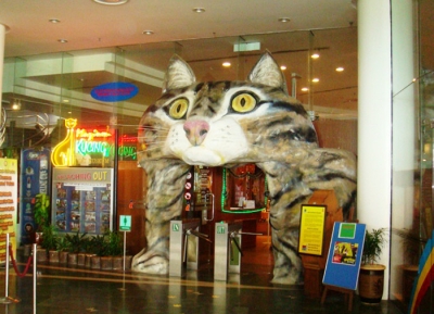 متحف القط