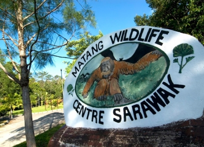 مركز ماتانغ للحياة البرية