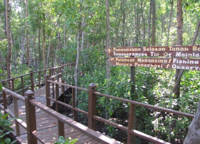  حديقة تانجونج بياي الوطنية 