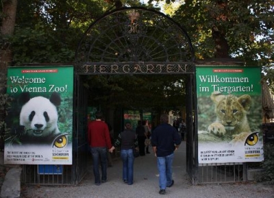  حديقة حيوانات فيينا شوشنبرون 