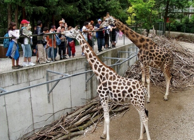 حديقة حيوان شميدينغ