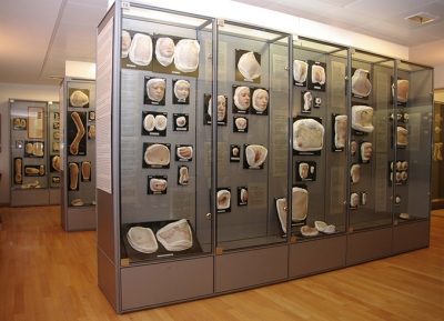  متحف مولاجين 