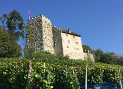  قلعة هابسبورغ 