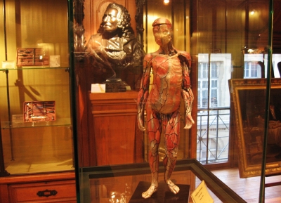 متحف تاريخ الطب