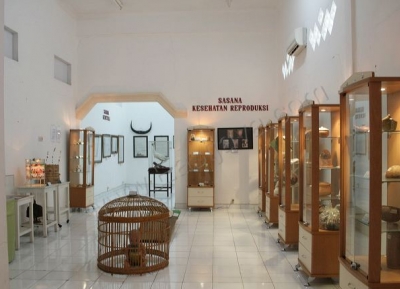  متحف الدكتور أدهياتما الصحي  