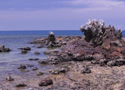  شاطئ منتيكوس 