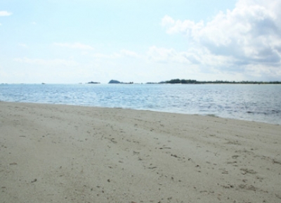 جزيرة بيغادوران