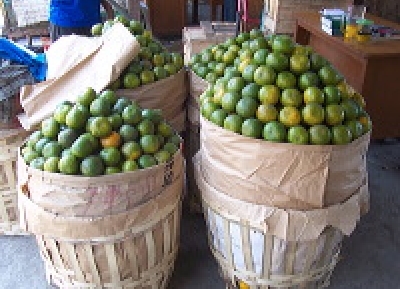  سوق بينيله للفاكهة 