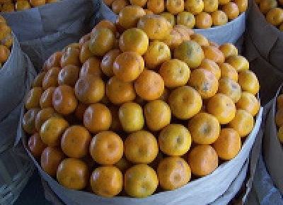  سوق بينيله للفاكهة 