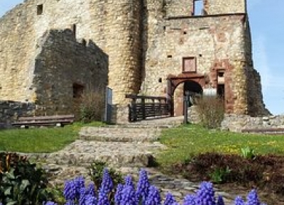  قلعة رولتن 