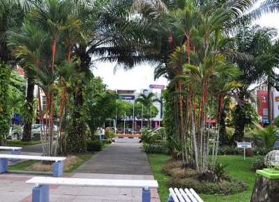  حديقة بيكاباي 