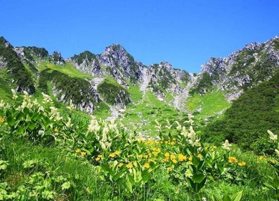  سينجوجيكي سيرك في  جبال الألب الوسطى اليابانية 