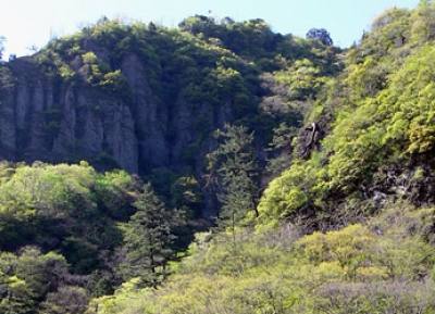  وادي تاشيكو-كيو 