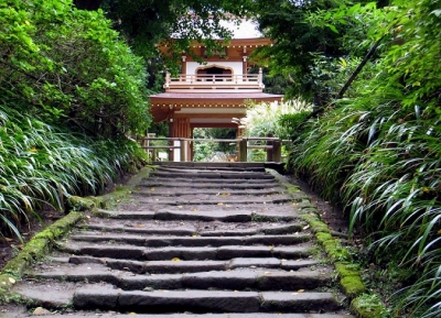  معبد جوتشي 