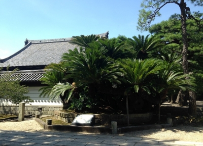  معبد بيرين-جي 