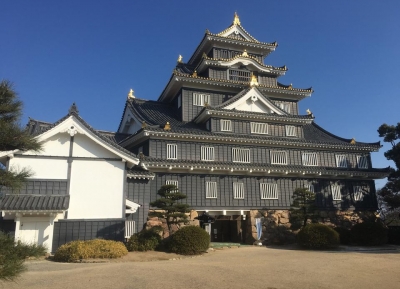  قلعة أوكاياما 