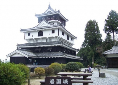  قلعة إيواكوني 