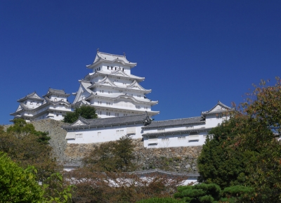  قلعة تاكادا 