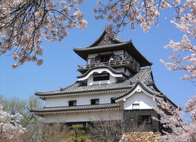  قلعة إينوياما 