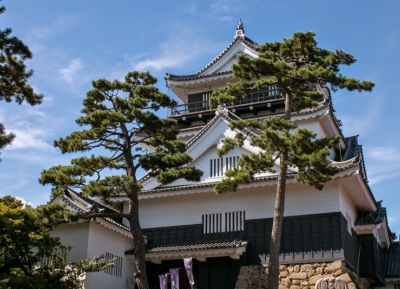  قلعة أوكازاكي 