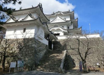  قلعة إيغا إينو 