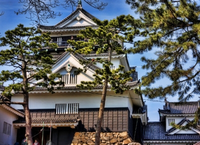 قلعة أوكازاكي 