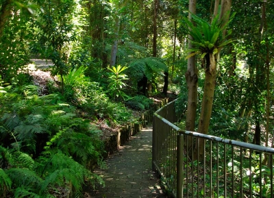 الحدائق النباتيه الوطنية الاستراليه