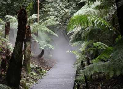  الحدائق النباتيه الوطنية الاستراليه 