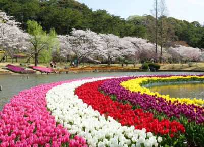 حديقة هاماماتسو للزهور