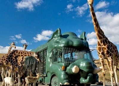 حديقة حيوان كيوشو الطبيعية "سفاري أفريقي"