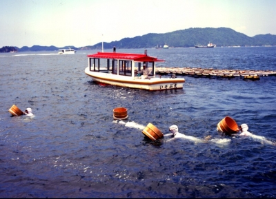 جزيرة اللؤلؤة ميكيموتو  