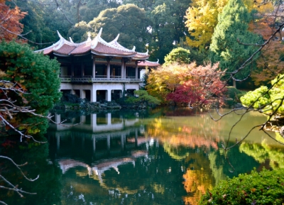  حديقة شينجوكو غيون 